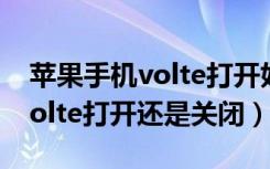 苹果手机volte打开好还是关闭好（苹果4gvolte打开还是关闭）