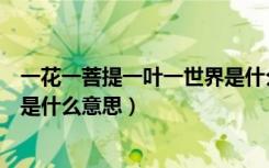 一花一菩提一叶一世界是什么意思（一花一世界一叶一菩提是什么意思）