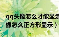 qq头像怎么才能显示是正方形的（手机qq头像怎么正方形显示）