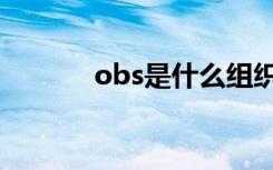 obs是什么组织（obs是什么）