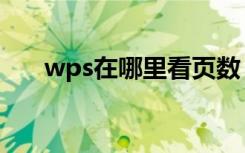 wps在哪里看页数（wps怎么看页数）