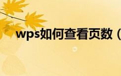 wps如何查看页数（wps怎么显示页数）