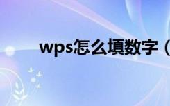 wps怎么填数字（wps怎么数字数）