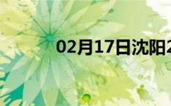 02月17日沈阳24小时天气预报