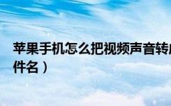 苹果手机怎么把视频声音转成文字（苹果手机怎么改视频文件名）