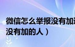 微信怎么举报没有加过的人（用微信怎么举报没有加的人）