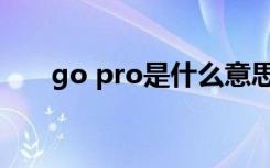 go pro是什么意思（go pro是什么）