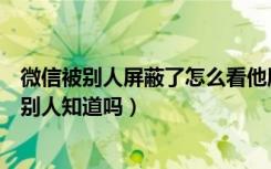 微信被别人屏蔽了怎么看他朋友圈（微信发朋友圈屏蔽别人别人知道吗）