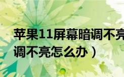 苹果11屏幕暗调不亮怎么办（苹果11屏幕暗调不亮怎么办）