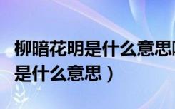 柳暗花明是什么意思啊我想问一下（柳暗花明是什么意思）