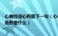 心病终须心药医下一句（心病终须心药医解铃还须系铃人的意思是什么）