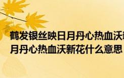 鹤发银丝映日月丹心热血沃新花是什么意思（鹤发银丝映日月丹心热血沃新花什么意思）