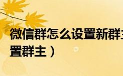 微信群怎么设置新群主（如何在微信群任意设置群主）