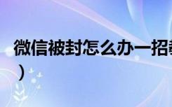 微信被封怎么办一招教会你（微信被封怎么办）