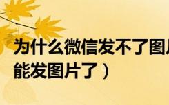 为什么微信发不了图片了（微信为什么突然不能发图片了）