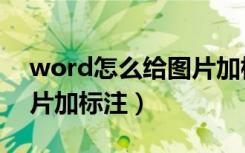 word怎么给图片加标注框（word怎么给图片加标注）