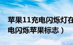 苹果11充电闪烁灯在哪里设置（无法开机,充电闪烁苹果标志）