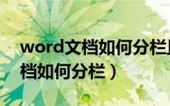 word文档如何分栏且每行均一样（word文档如何分栏）