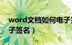 word文档如何电子签名（word文档如何电子签名）