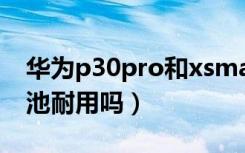 华为p30pro和xsmax续航（华为p30pro电池耐用吗）