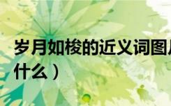 岁月如梭的近义词图片（岁月如梭的近义词是什么）