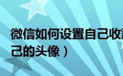 微信如何设置自己收款名片（微信如何设置自己的头像）