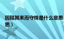 因释其耒而守株是什么意思（因释其耒而守株的释是什么意思）