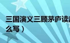 三国演义三顾茅庐读后感（三顾茅庐读后感怎么写）