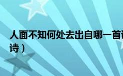 人面不知何处去出自哪一首诗（人面不知何处去出自哪一首诗）