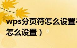 wps分页符怎么设置右下角页数（wps分页符怎么设置）