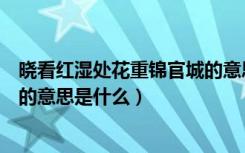 晓看红湿处花重锦官城的意思简短（晓看红湿处花重锦官城的意思是什么）