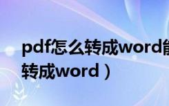 pdf怎么转成word能编辑的状态（pdf怎么转成word）