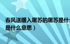 春风送暖入屠苏的屠苏是什么意思（春风送暖入屠苏的屠苏是什么意思）