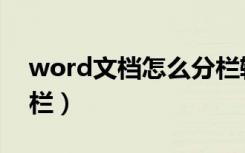 word文档怎么分栏输入（word文档怎么分栏）