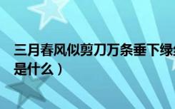 三月春风似剪刀万条垂下绿丝绦（万条垂下绿丝绦的上一句是什么）