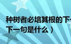 种树者必培其根的下一句（种树者必培其根的下一句是什么）