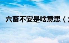 六畜不安是啥意思（六畜不安是什么意思）