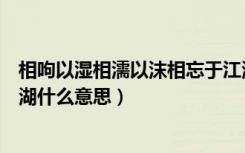 相呴以湿相濡以沫相忘于江湖翻译（相濡以沫不如相忘于江湖什么意思）