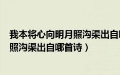 我本将心向明月照沟渠出自哪里（我本将心向明月奈何明月照沟渠出自哪首诗）