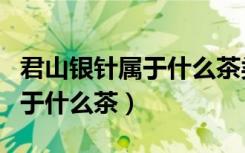 君山银针属于什么茶类及其功效（君山银针属于什么茶）