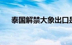 泰国解禁大象出口是怎样的发生了什么