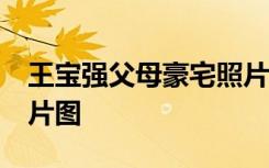 王宝强父母豪宅照片 王宝强54万农村豪宅照片图