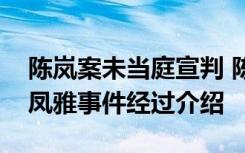 陈岚案未当庭宣判 陈岚案为何没宣判女童王凤雅事件经过介绍