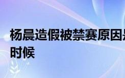 杨晨造假被禁赛原因是什么杨晨被禁赛到什么时候