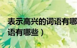 表示高兴的词语有哪些4个字（表示高兴的词语有哪些）