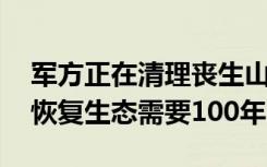 军方正在清理丧生山火的动物尸体 澳洲火山恢复生态需要100年