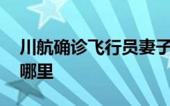 川航确诊飞行员妻子行动轨迹更新 她都去了哪里