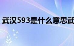 武汉593是什么意思武汉593发生什么事情了