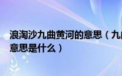 浪淘沙九曲黄河的意思（九曲黄河万里沙浪淘风簸自天涯的意思是什么）