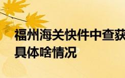 福州海关快件中查获侏罗纪化石 是什么化石具体啥情况